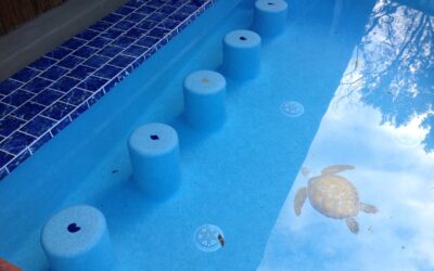 POOL RENOVATIONS KING OF PRUSSIA PA